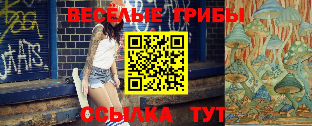 Муром  Галлюциногенные грибы GOLDEN TEACHER  Вход с VPN  Галлюциногенные грибы мухоморы 